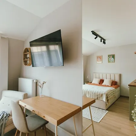 Katowa - Sauna, Ac, Balcony 아파트 *