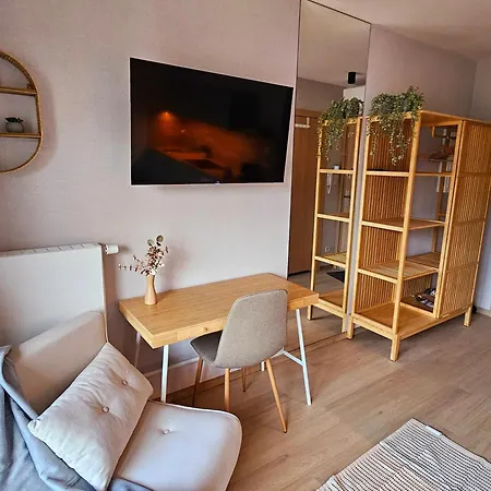 Katowa - Sauna, Ac, Balcony Apartment Krakow